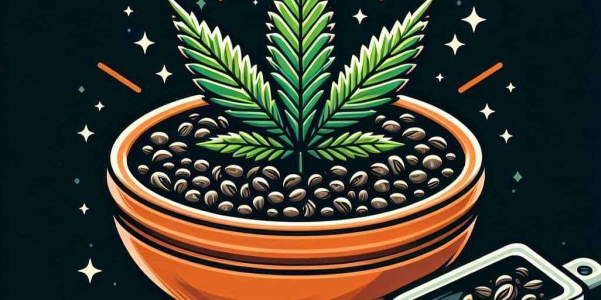 The Legacy of Jack Herer Cannabis Seeds in the USA