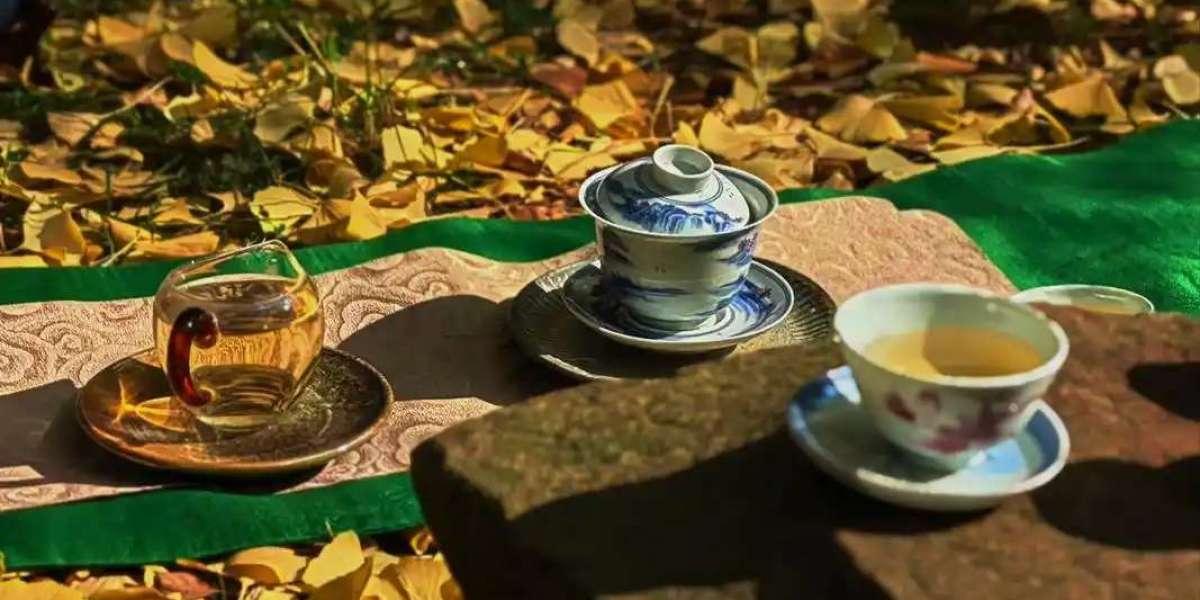 Tea Bag 3.0: Why the Transparent Pyramid Is Already Outdated