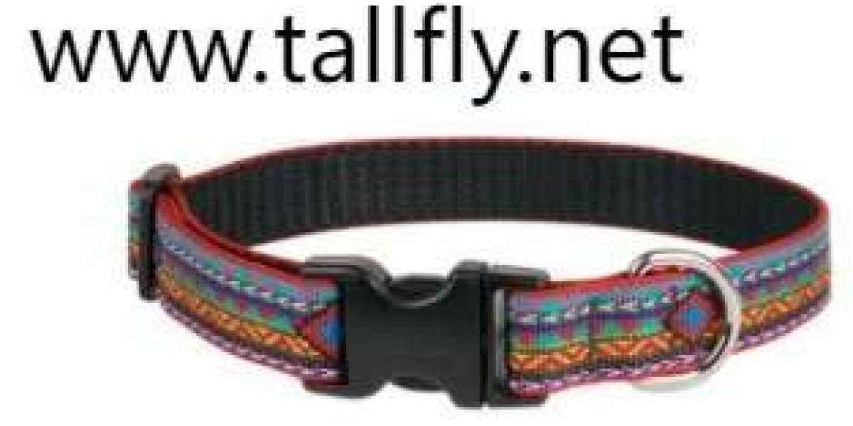 Beyond Durability: Embedding Regulatory Wisdom into Leash Design