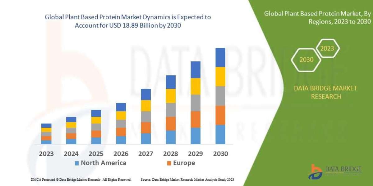 Exploring the Plant Based Protein Market: Growth Drivers, Demand Analysis & Future Outlook