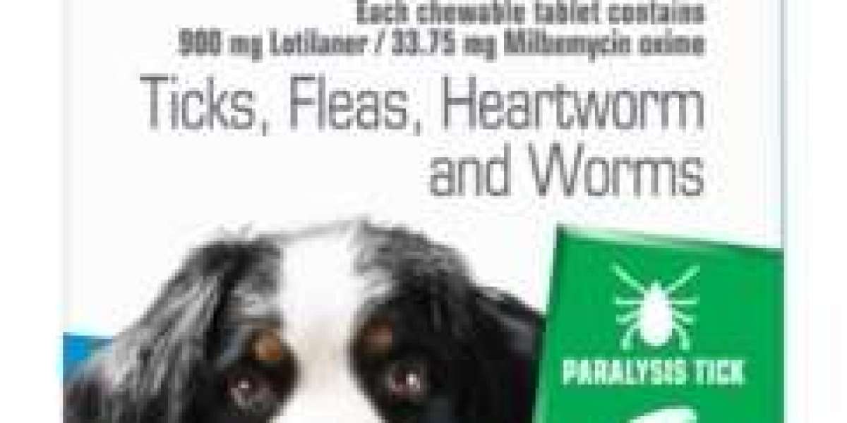 Credelio For Dogs