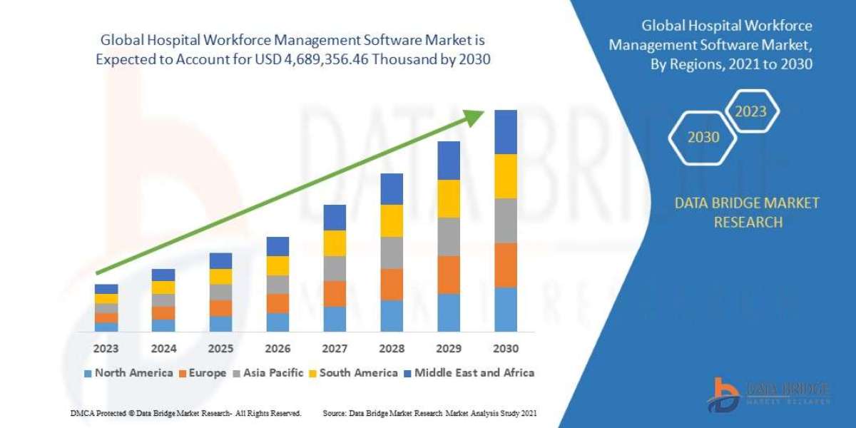 Hospital Workforce Management Software Market Growth Forecast with Competitive Analysis 2030
