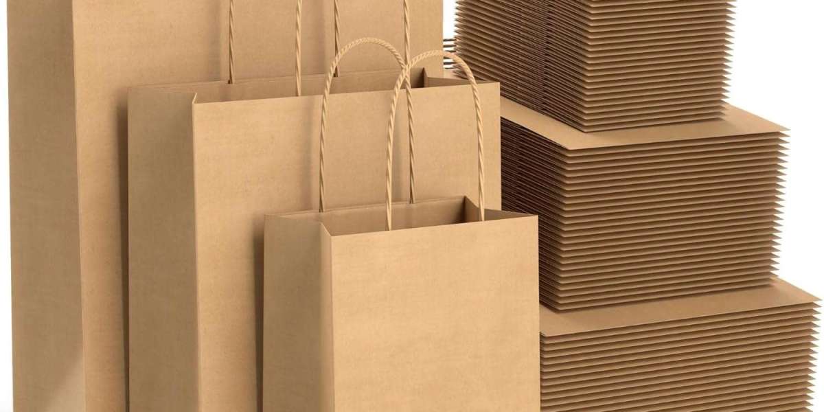 Navigating the Paper Bag Revolution in the UK: Eco-Friendly and Practical Choices