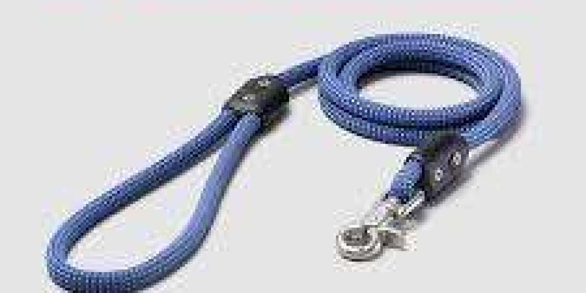 Leash Up in Style with Functional Innovation