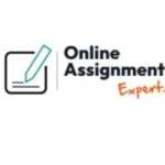 Online Assignment Expert Profile Picture