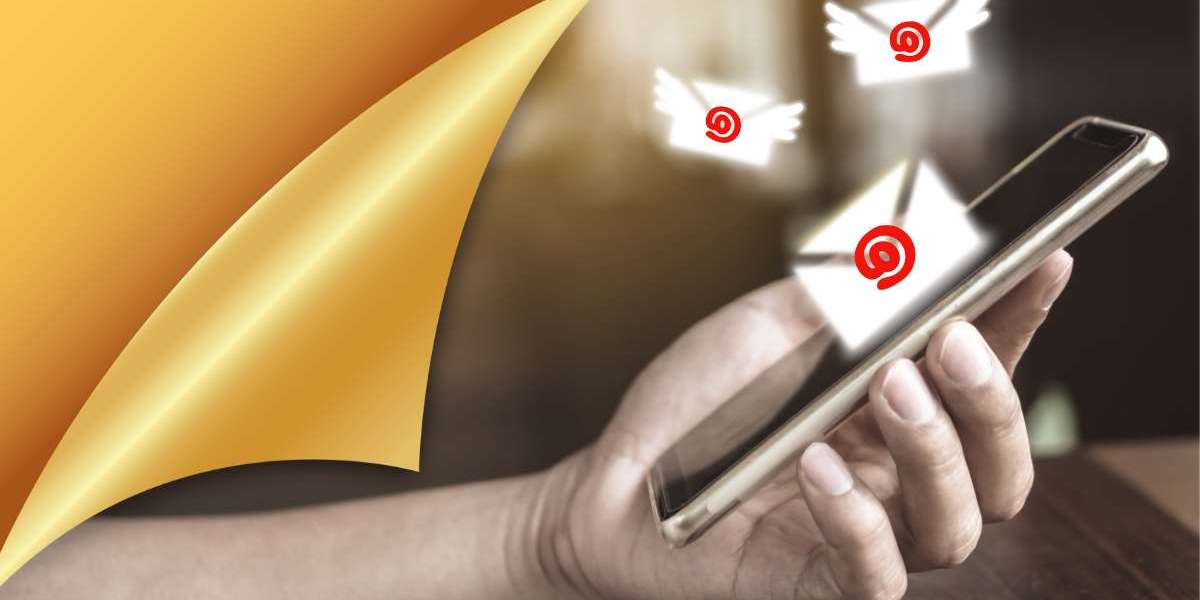 The Ultimate Guide to the New Zealand Email List for Business Marketing