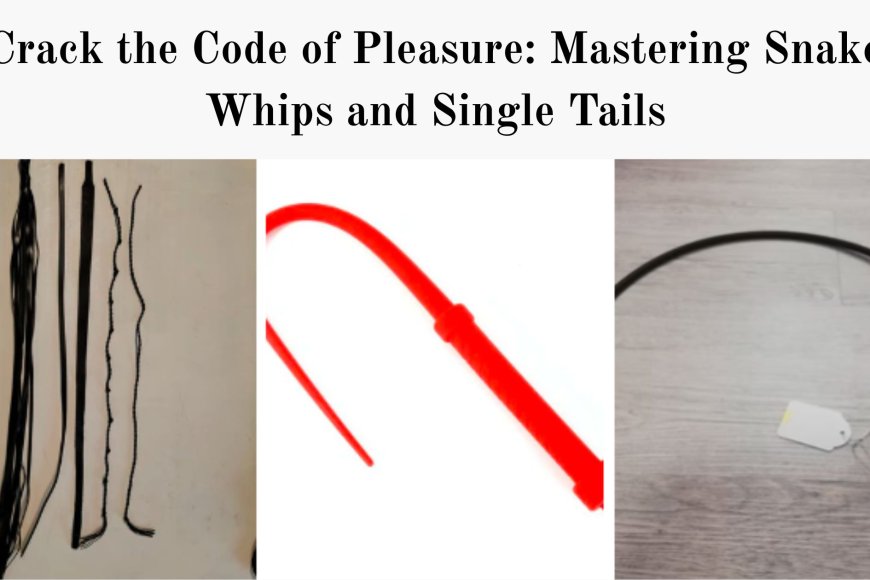 Crack the Code of Pleasure: Mastering Snake Whips and Single Tails - Your Ultimate Source for Local News