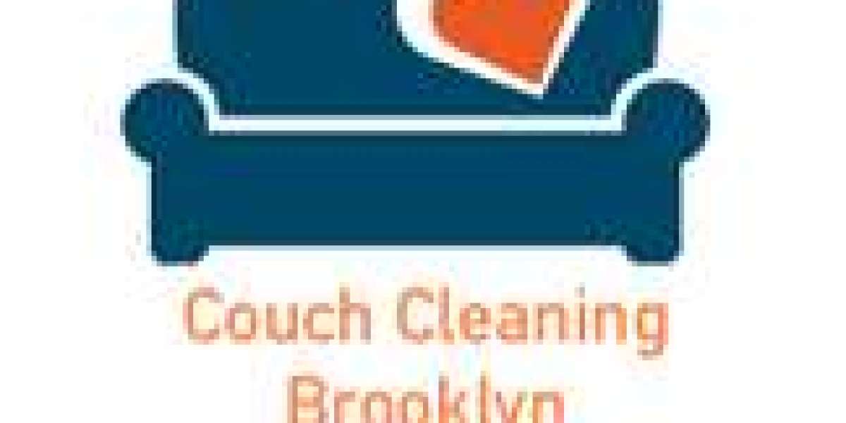 Elevating Comfort: The Value of Regular Sofa Cleaning