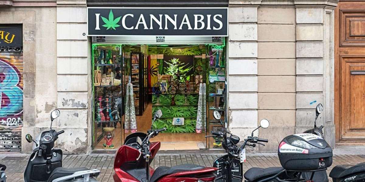 How to Choose the Best Dispensary Near Me for Quality Cannabis