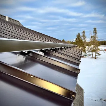 How Snow Guards Prevent Gutters from Clogging During Winter - Genius Vision
