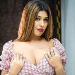 Zirakpur Escorts Service Profile Picture