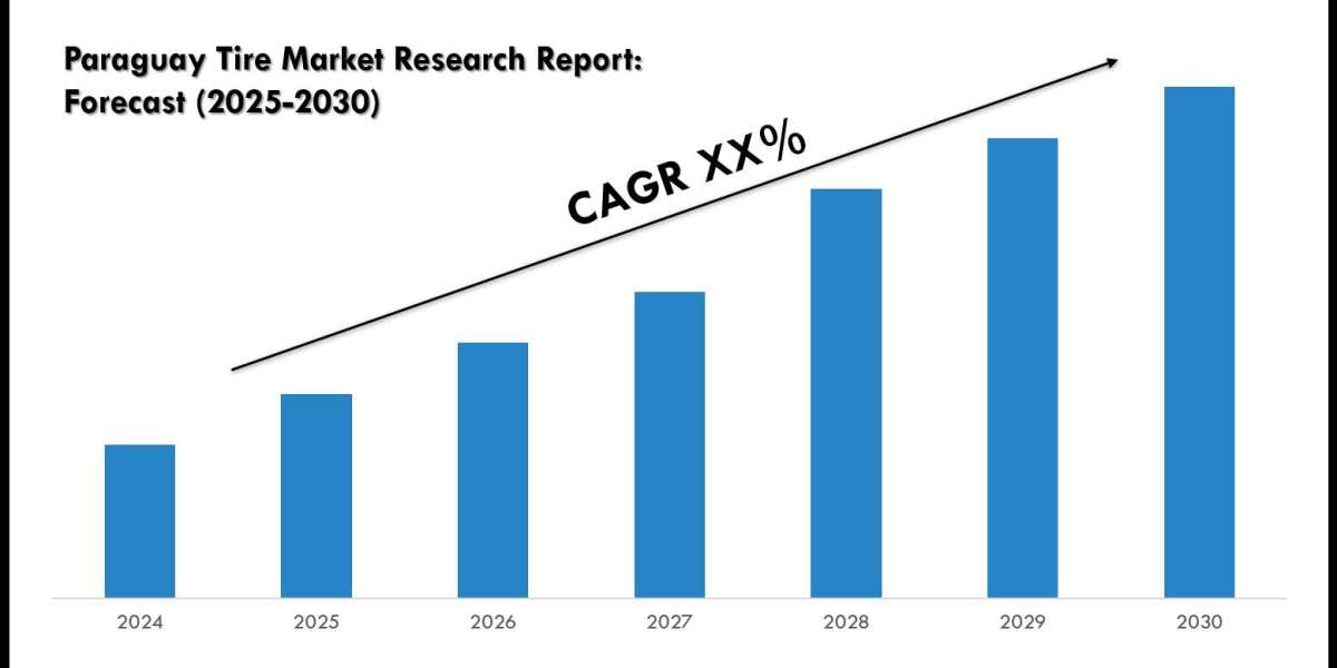 Comprehensive Paraguay Tire Market Analysis & Forecast Data