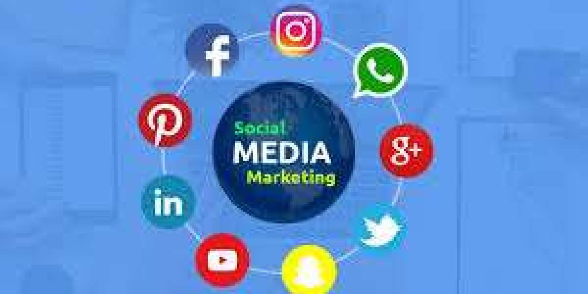 Social Media Marketing Agency in Delhi – Grow Your Brand with RPD Software