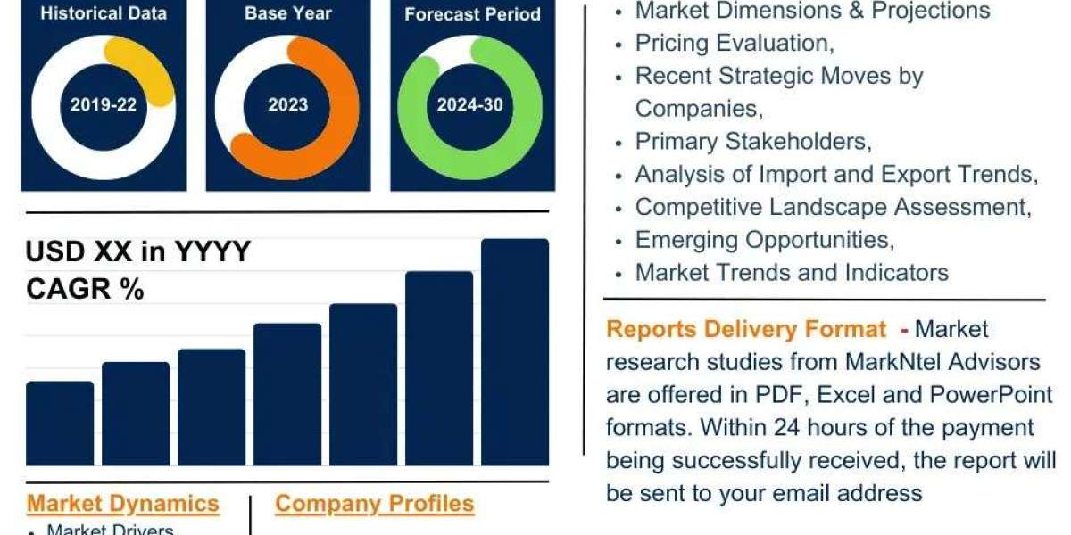 Public Safety Analytics Market Share & Future Projections 2030