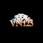 VN123 PW Profile Picture