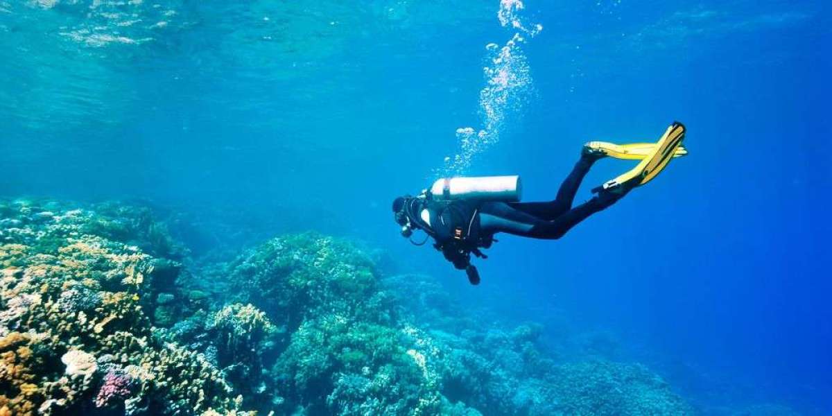 Diving Tours in Qatar – Explore the Arabian Gulf Beneath the Waves