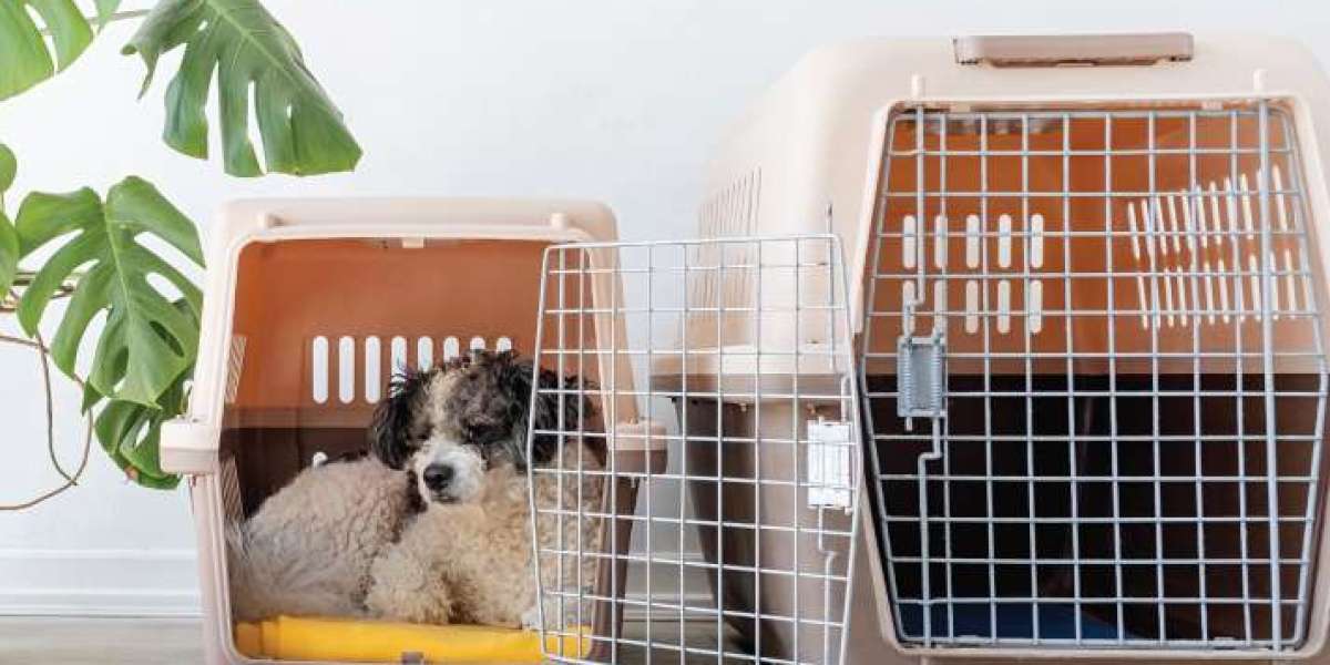 Benefits of Using a Small Dog Pet Cage for Comfort and Safety