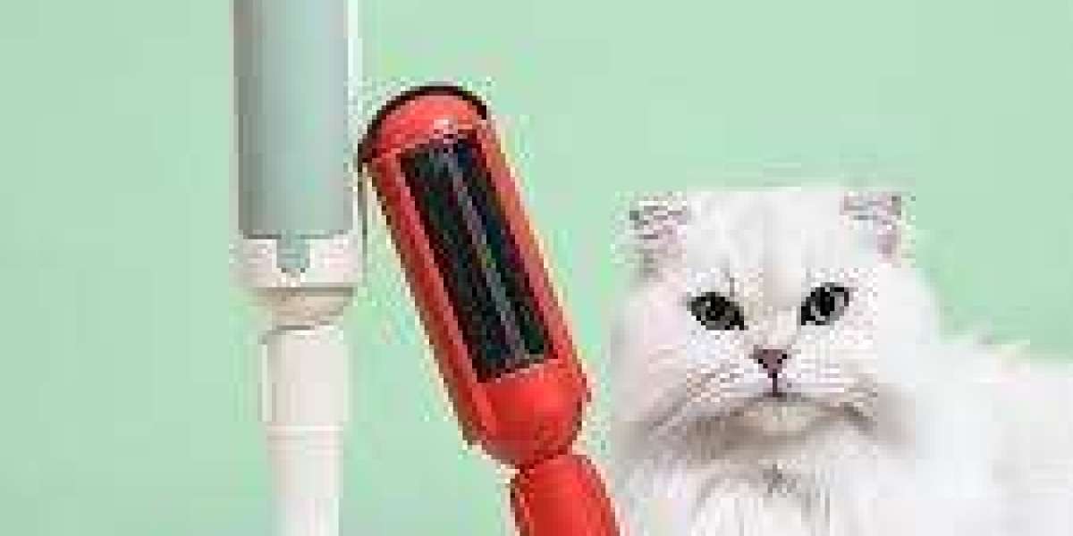 Elevate Your Grooming Experience with Tallfly Hair Remover Roller Supplier