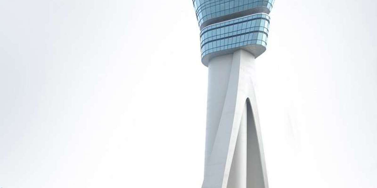 Unpacking the Core Catalysts of Global Control Towers Market Growth