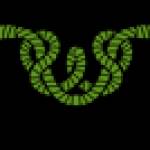 ghost rope Profile Picture