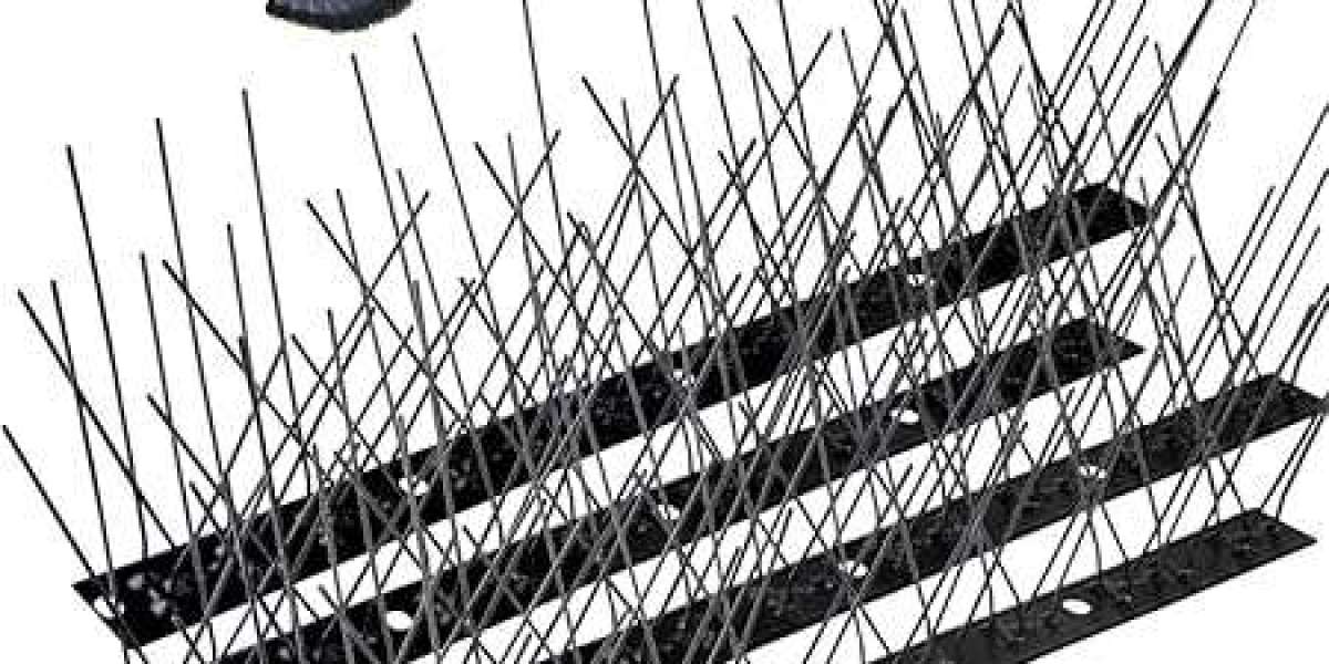 Secure Your Property with Reliable Bird Spikes Installation