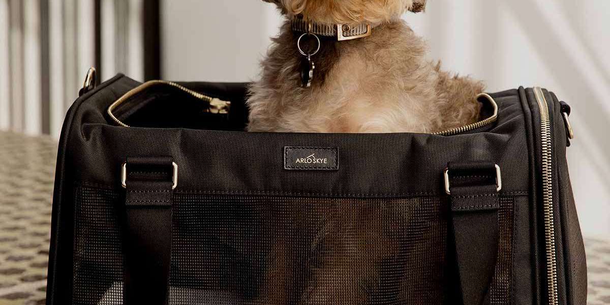 Ultimate Security: Choosing the Best Dog Carrier for Dogs in the UK