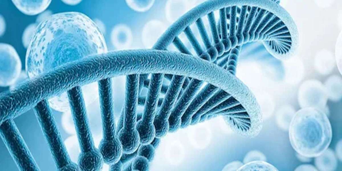 Amrinone Market Regional Analysis, Demand Analysis and Competitive Outlook 2025-2032