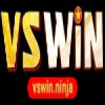 vswinninja Profile Picture