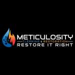 MeticulocityCleaning Profile Picture