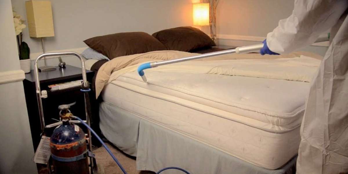 Why Hiring a Bed Bug Exterminator NY is the Smartest Move