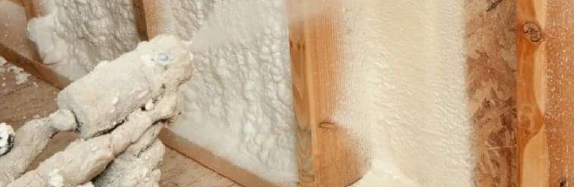 Des Moines Insulation Cover Image